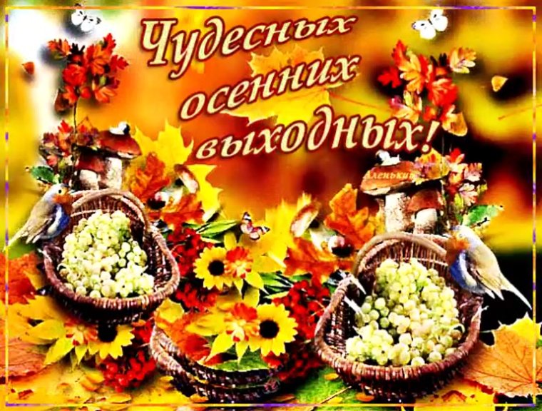 Приятных осенних выходных