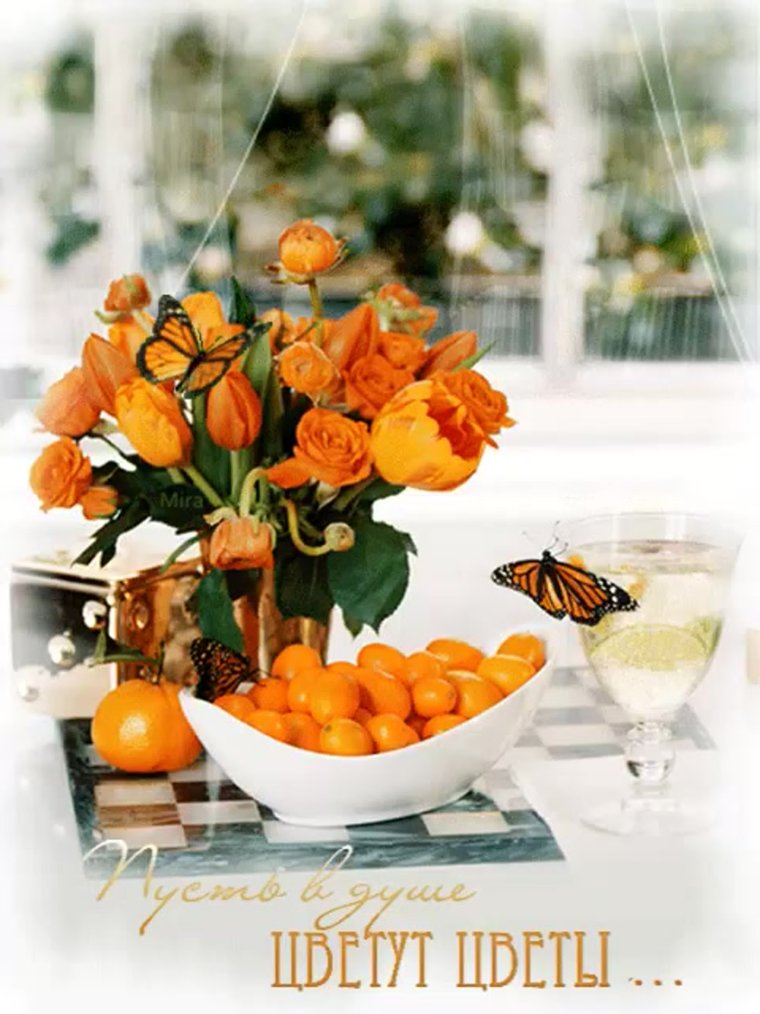 Солнечных выходных и хорошего настроения