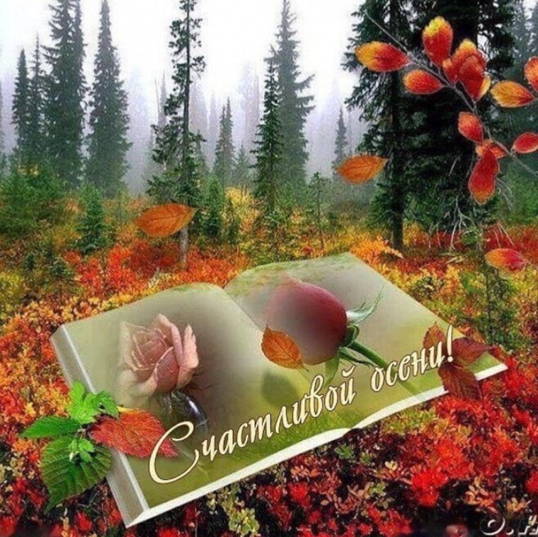 Доброго осеннего дня природа