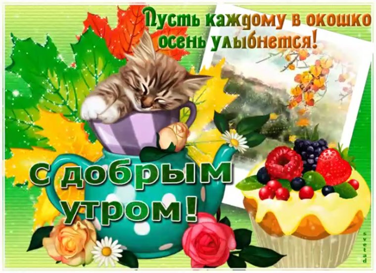 С добрым осенним пятничным утром