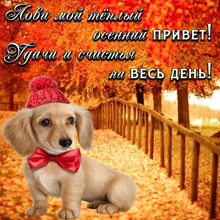 Прекрасные осенние пожелания