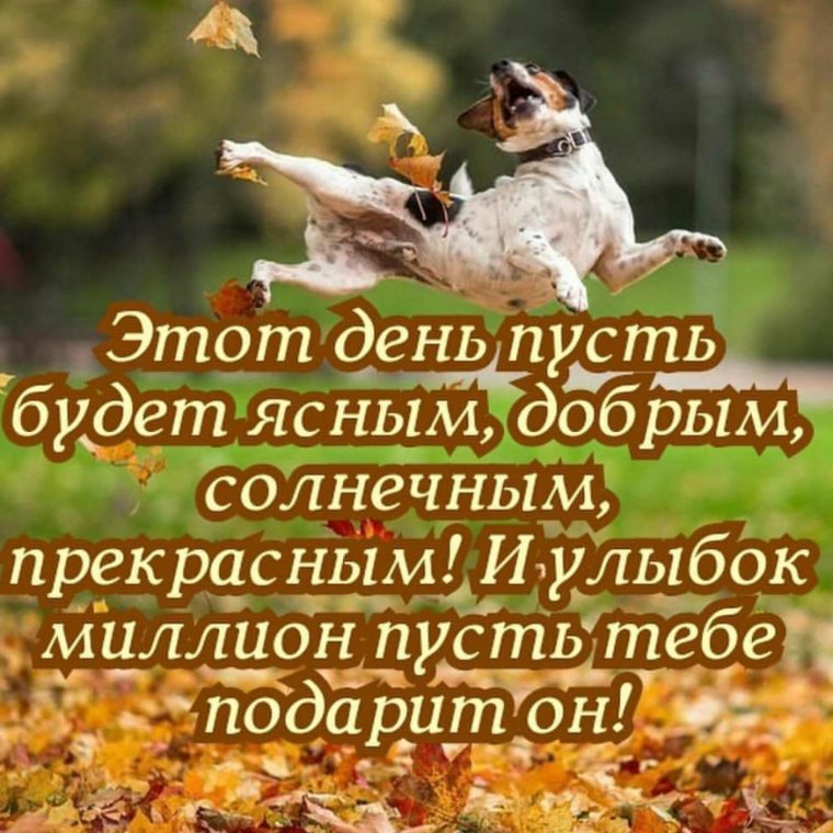 Доброе утро и отличного настроения