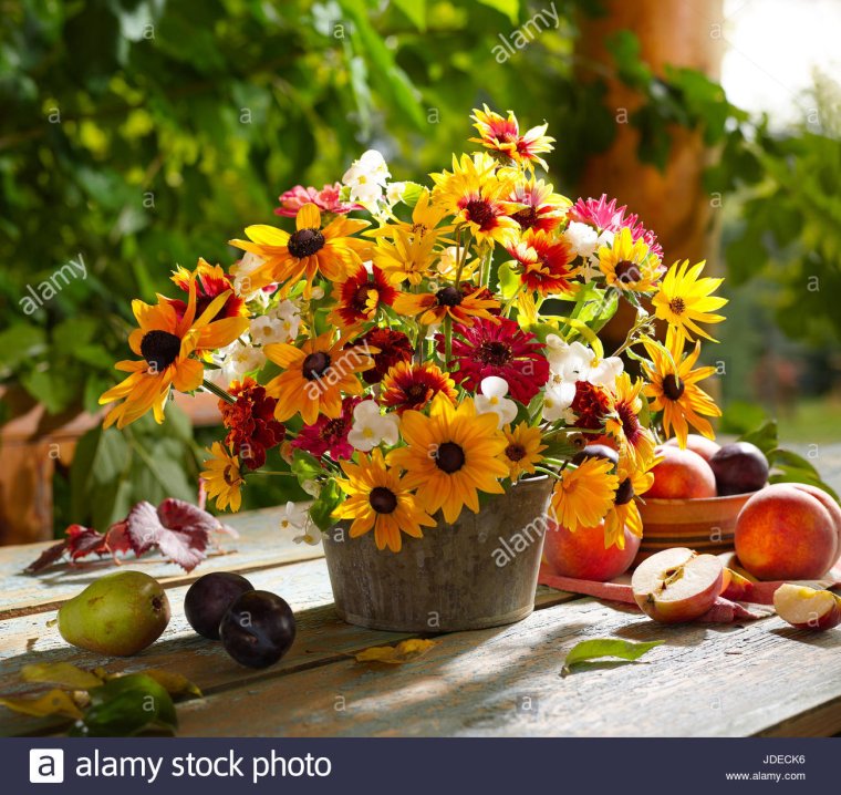 Осенние цветы пятница