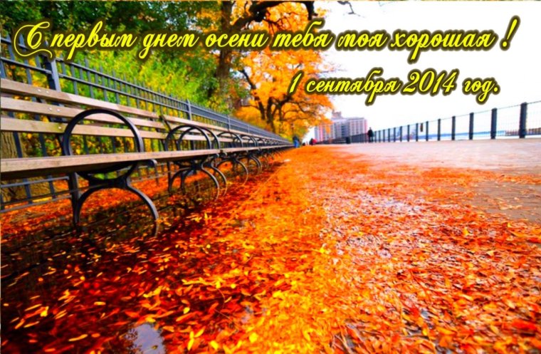 Фото с первым днем осени