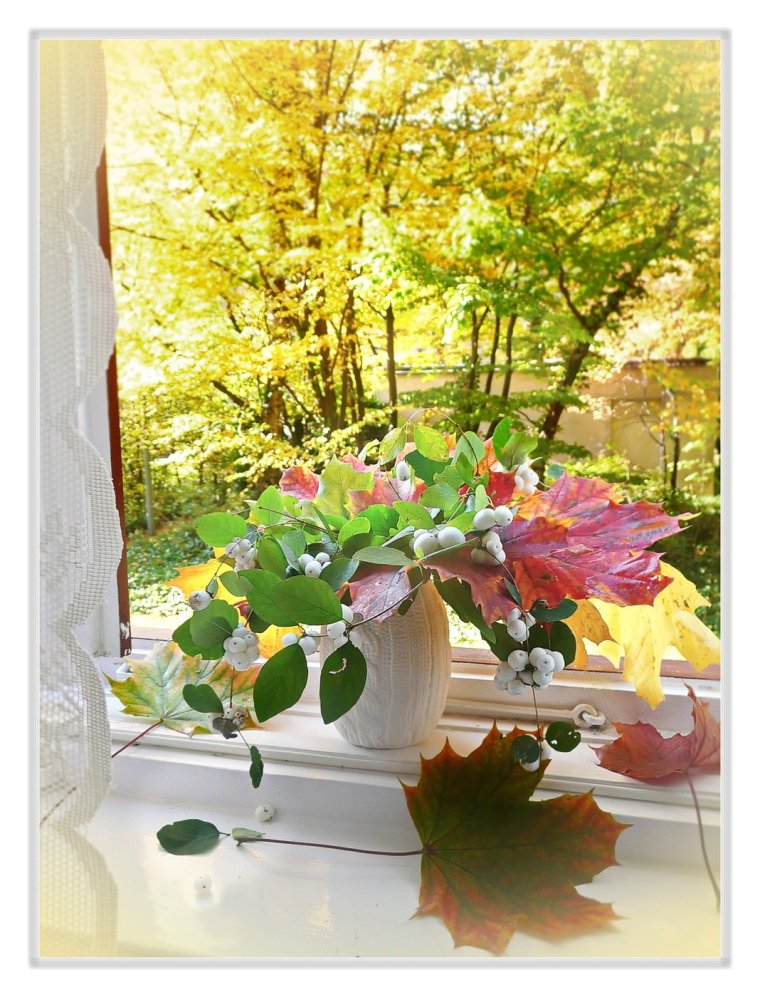 Осеннее утро за окном