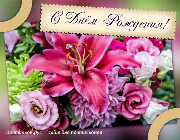 С днём рождения Светлана Михайловна