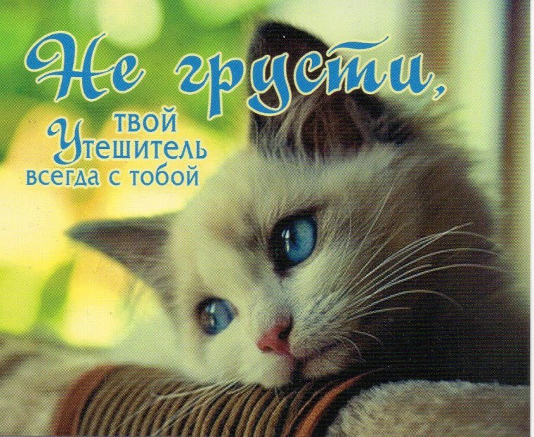 Открытки грустно