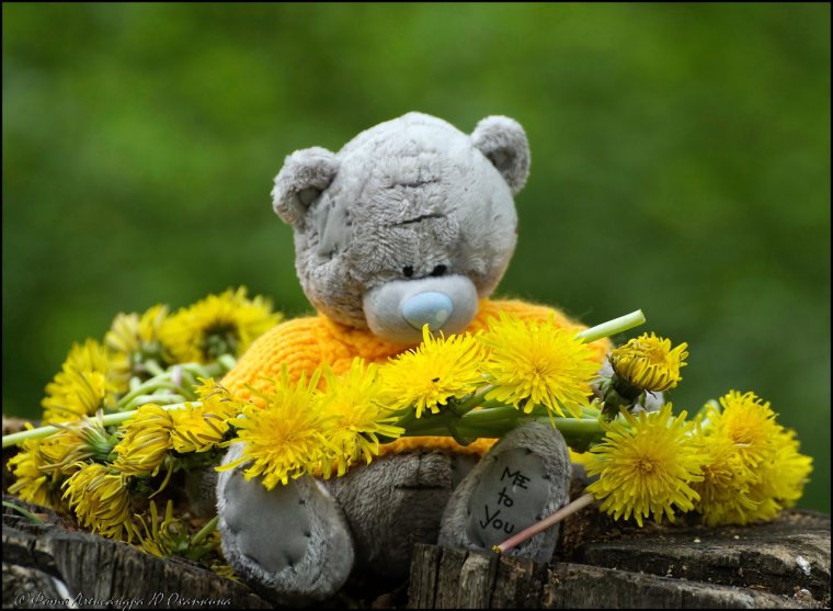 Открытки улыбнись