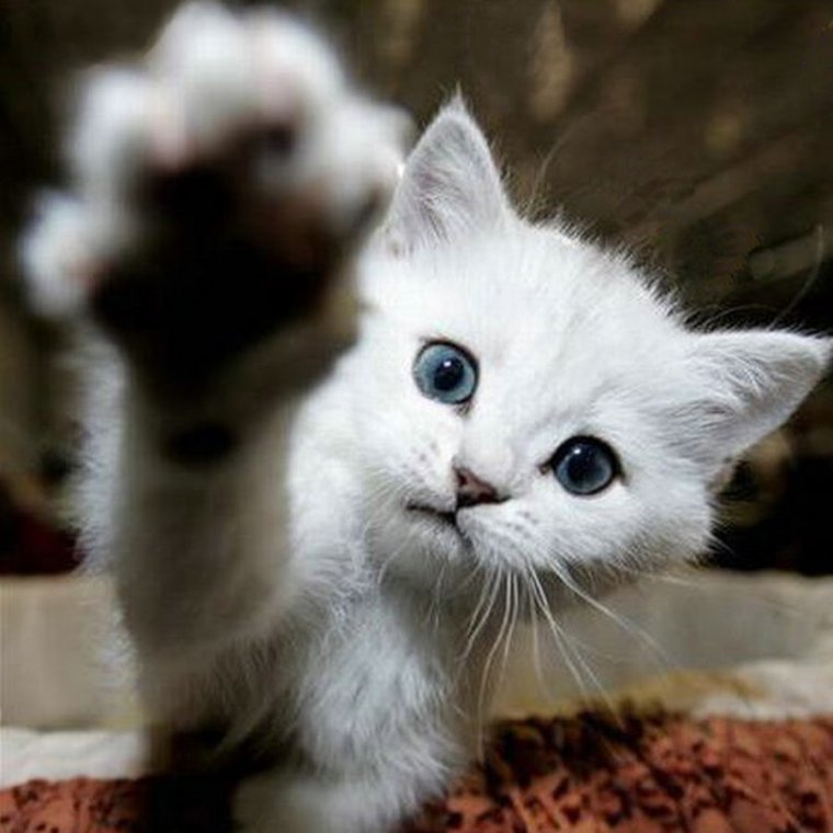 Открытки с пожеланием не грустить