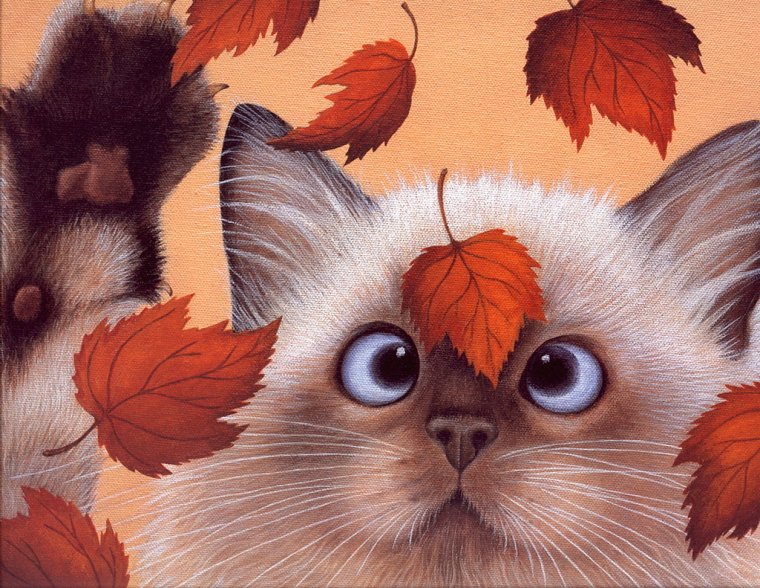 Грустный рыжий котенок