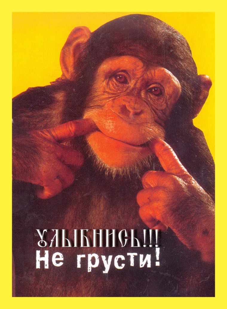 Предложение руки и сердца девушке в стихах