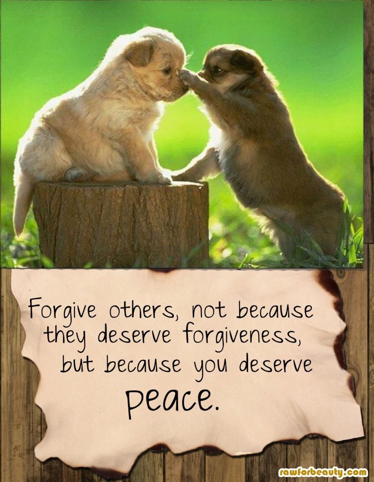 Не грусти выше нос