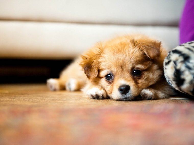 Не грусти улыбнись