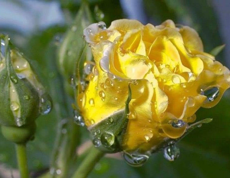 Скучаю по тебе Антон