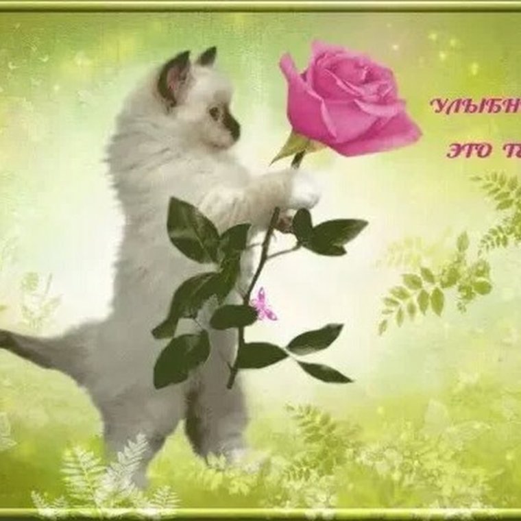 Открытка выше нос