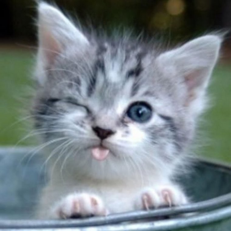 Позитивные обои