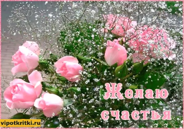 Открытки с цветами красивые