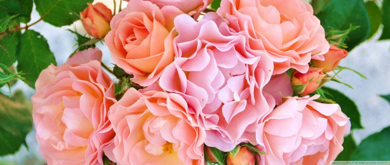 Международный день счастья