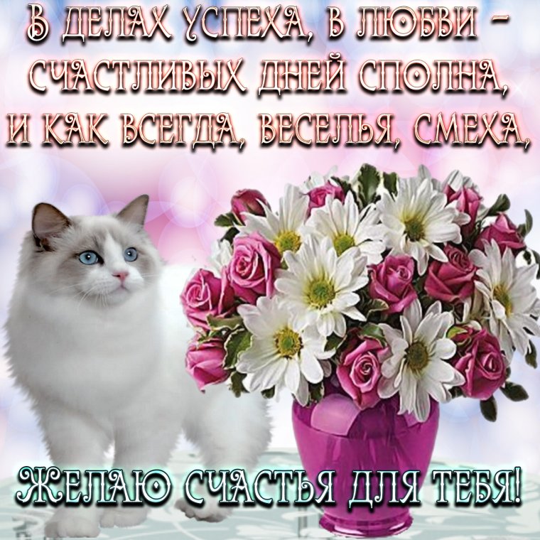 Поздравления на каждый день