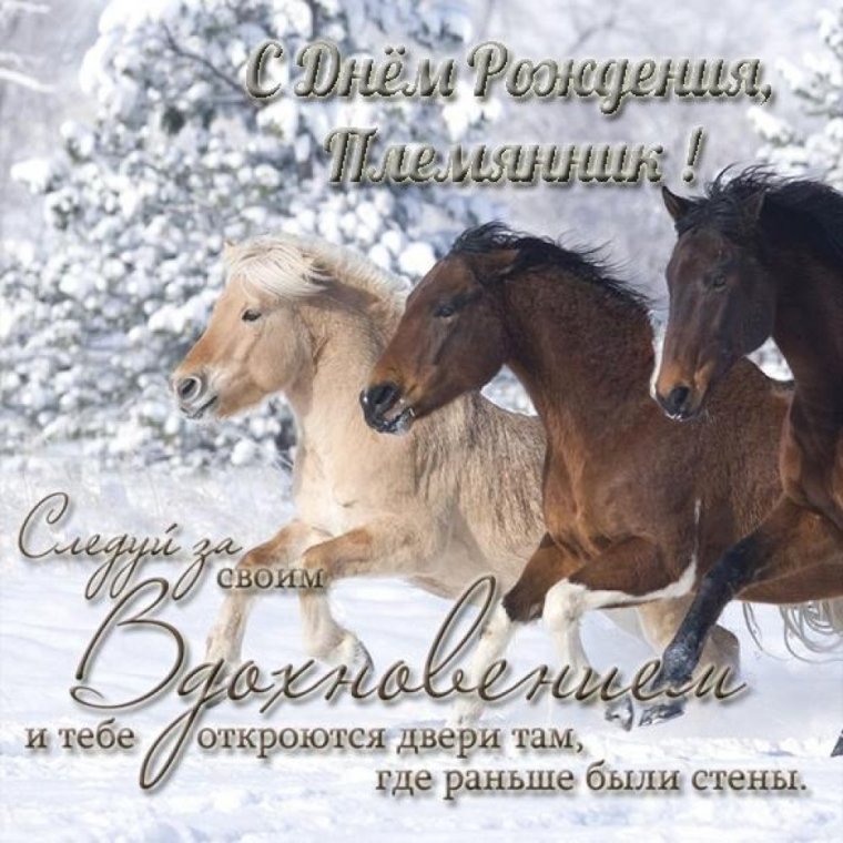 Открытки с днём рождения с лошадьми