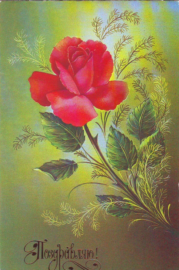 Открытка цветы