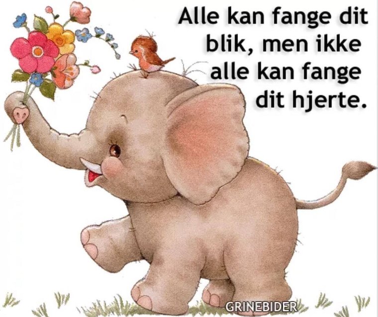 Одна розовая роза открытка