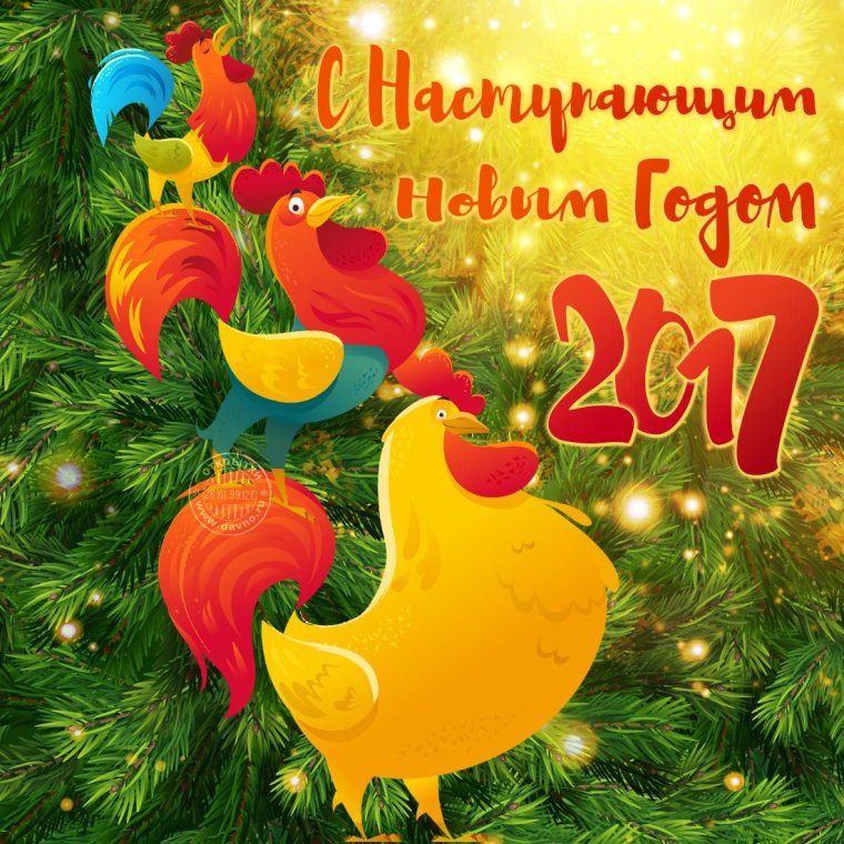 Год петуха 2017