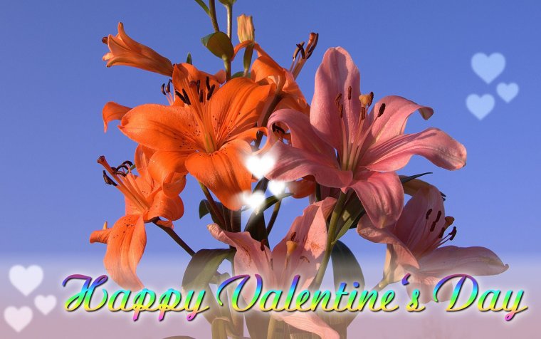 Хорошего дня Лилия