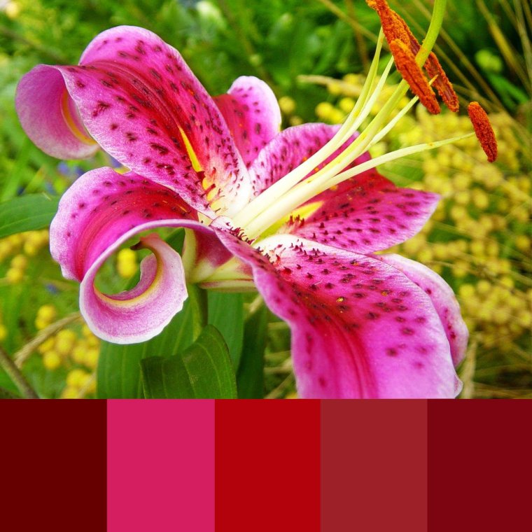 С днём рождения Лилия