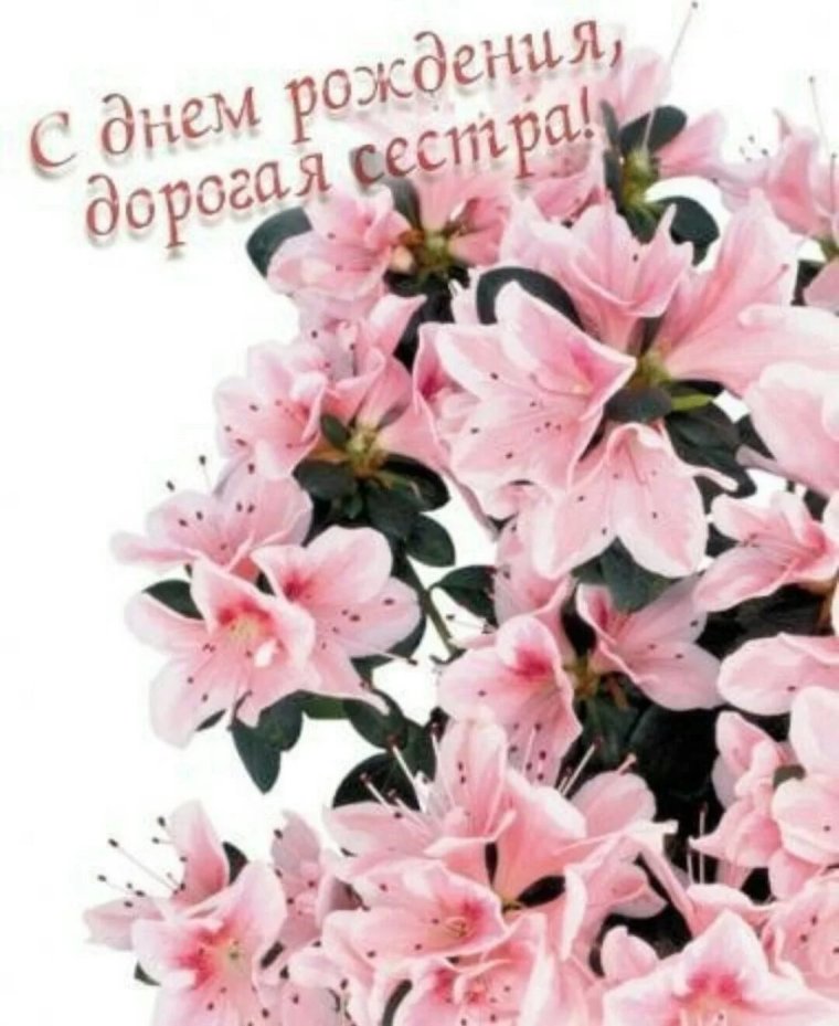 С днём рождения сестра