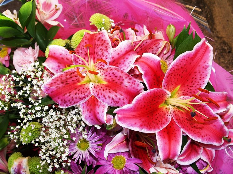 Поздравления с днём рождения