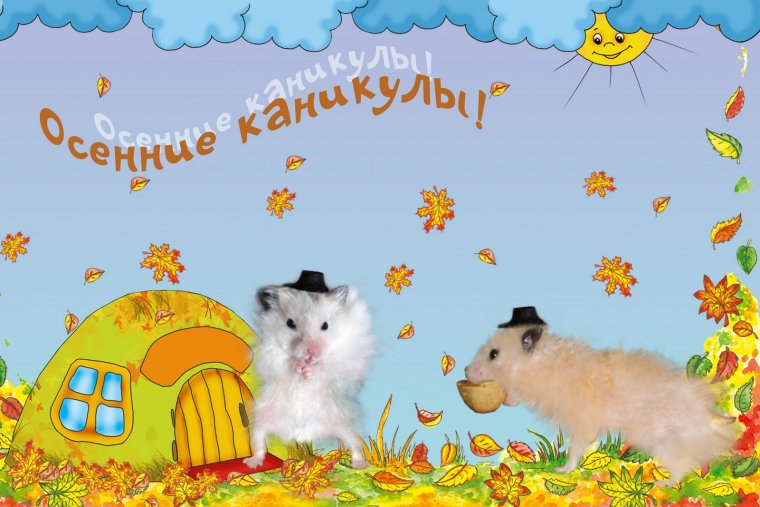 Поздравляю с осенними каникулами