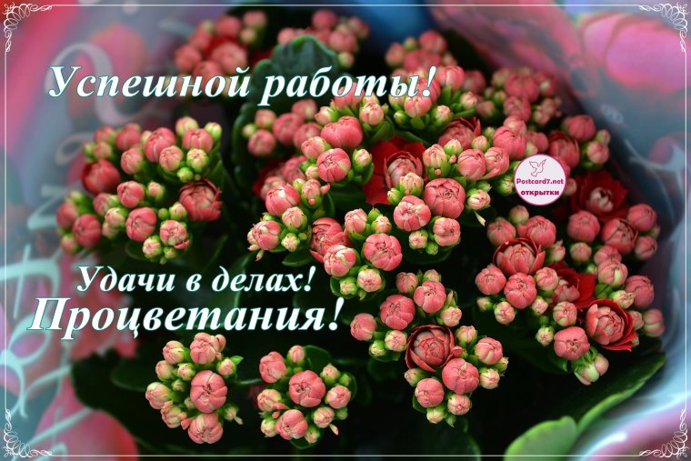 Поздравляю с назначением