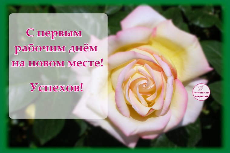 Поздравление коллектива