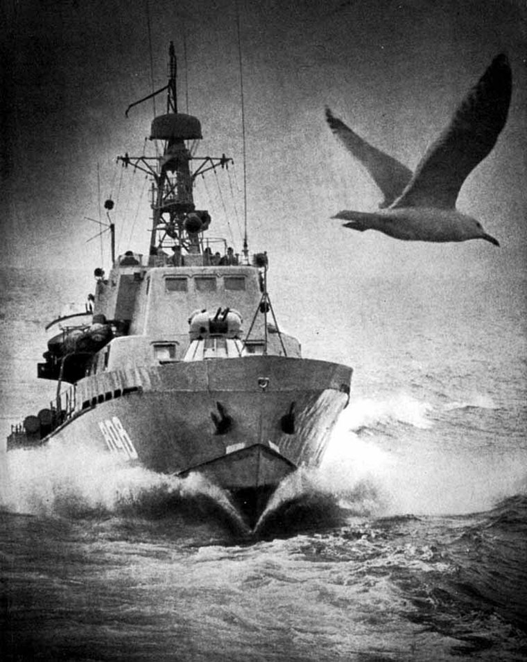 День пограничника