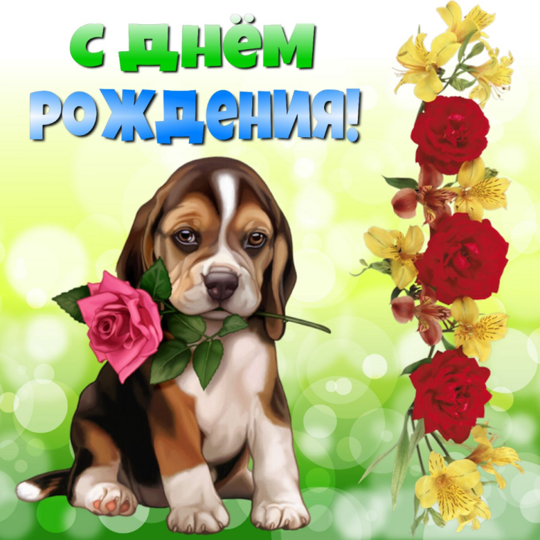 С днём рождения Виктория