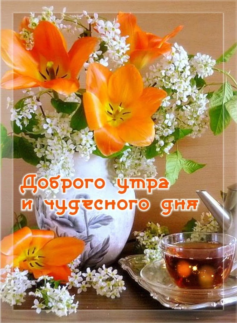 Открытки с прекрасным воскресным утром