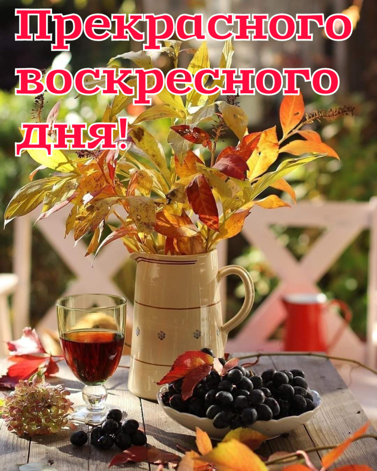 Прекрасного воскресного дня