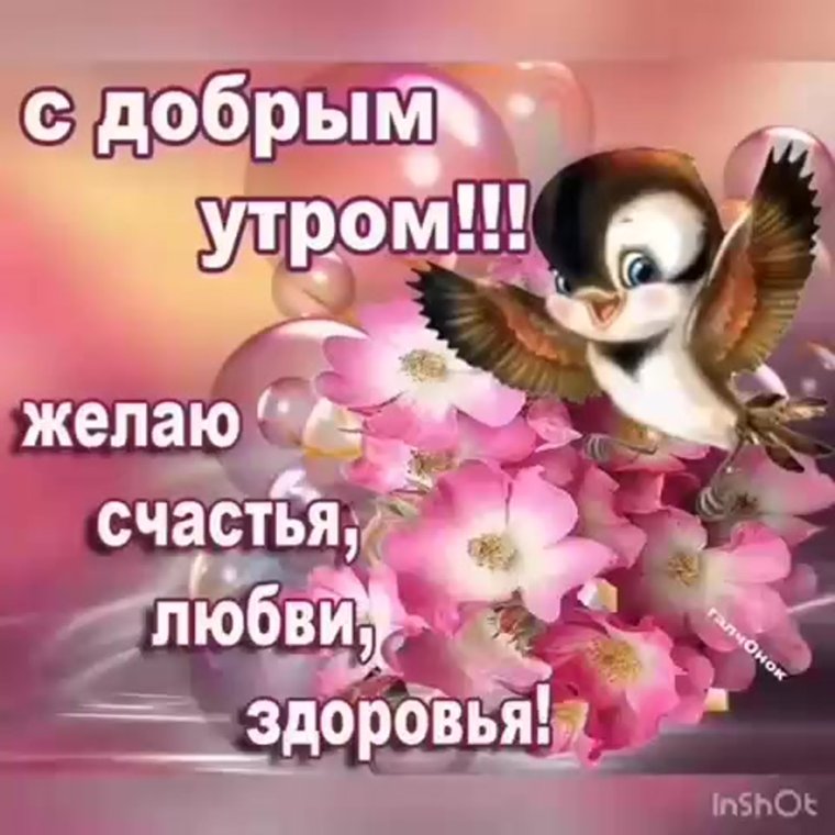 Доброе утро с пожеланиями счастья
