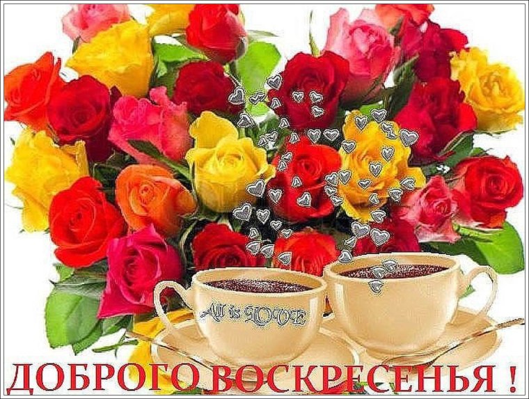 С добрым воскресным утром