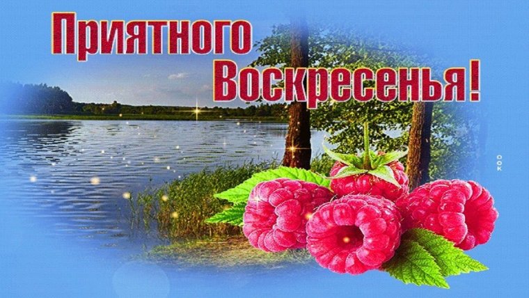 Доброго воскресного дня и здоровья