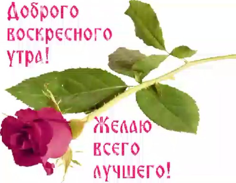 Доброе утро воскресенье гиф