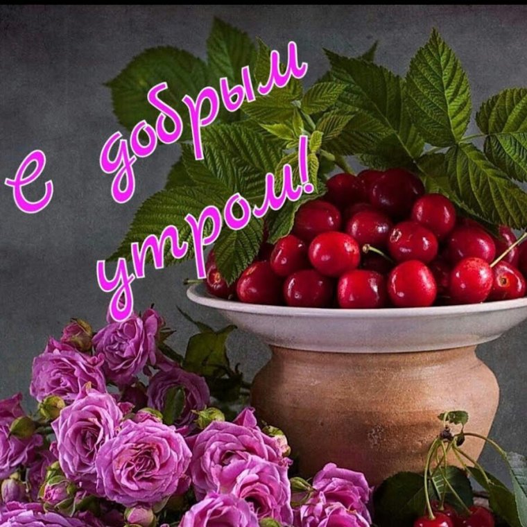 Розы и ягоды