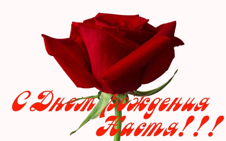 Поздравить Настю с днем рождения