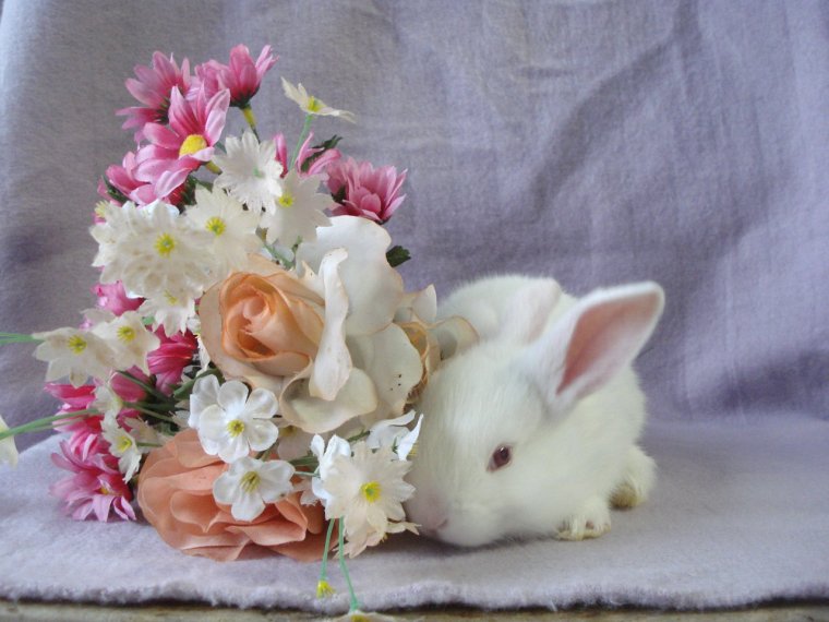 Поздравление с др девочке