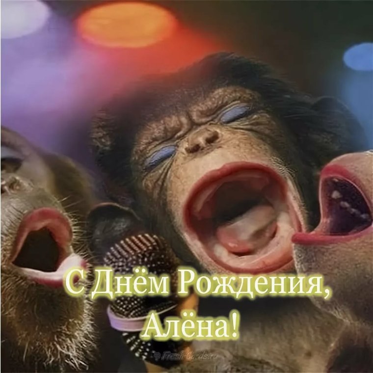 Поздравления с днём рождения Алена прикольные
