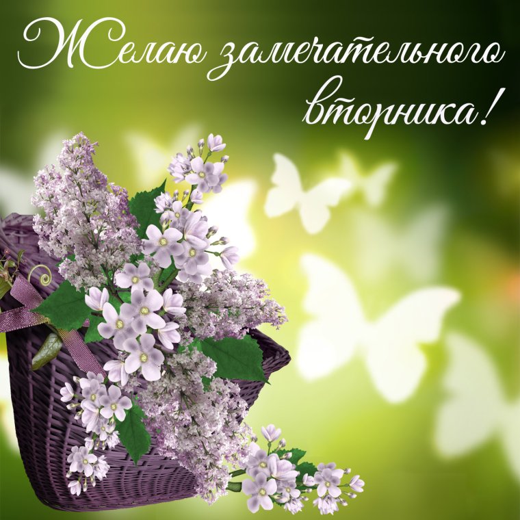 Поздравления со вторником