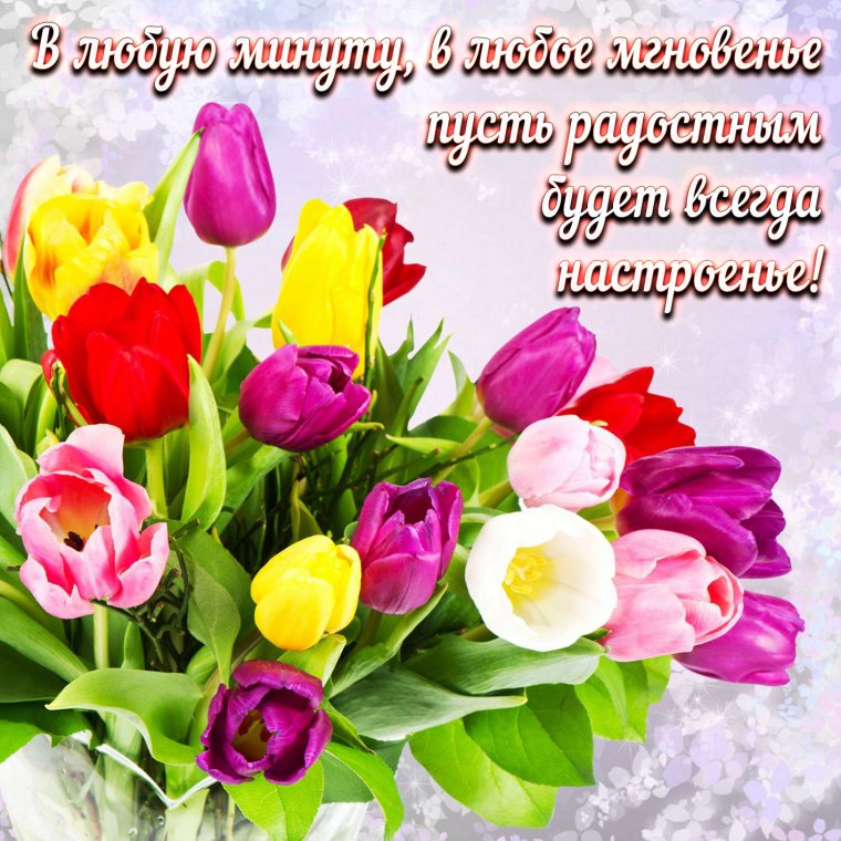 Тюльпаны букет поздравление