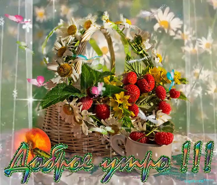 Доброе летнее утро пожелания