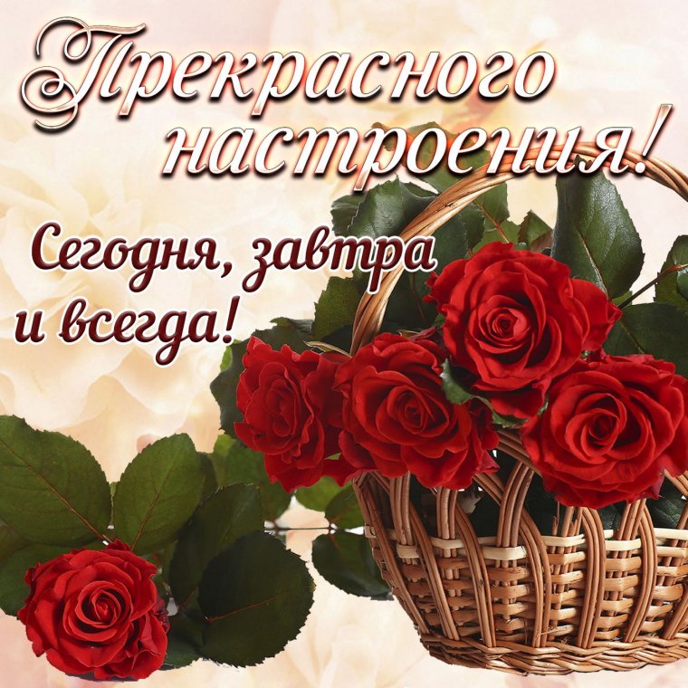 Пожелания прекрасного настроения